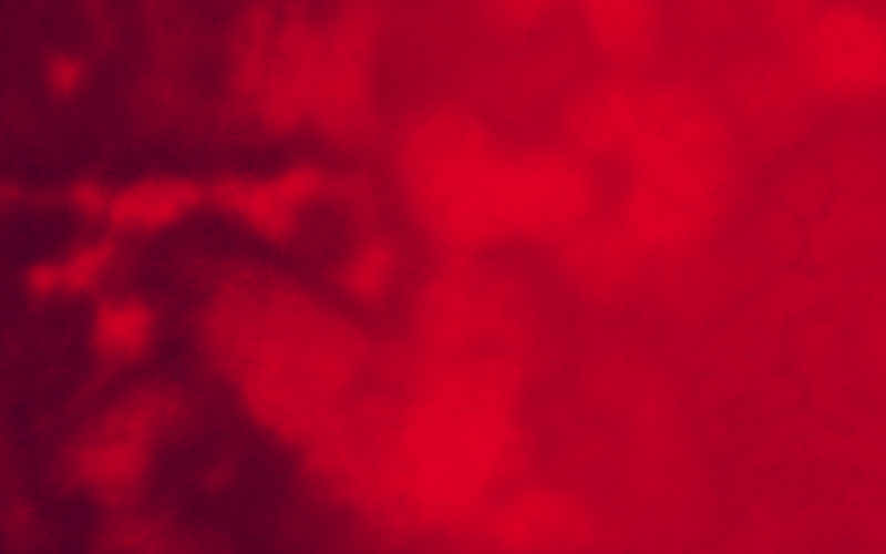 red abstract background 